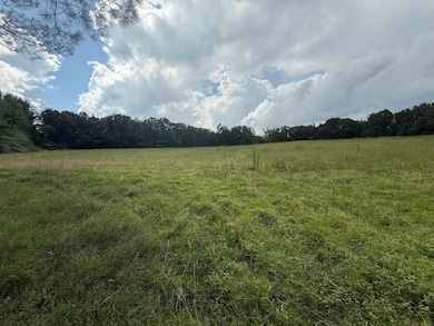 0 Perry Chapel Rd, Ashland, MS 38603 - photo 4