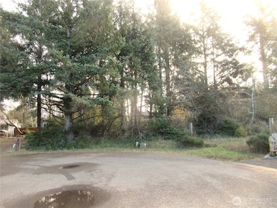 311 Sycamore Ct, Ocean Shores, WA 98569 - photo 5