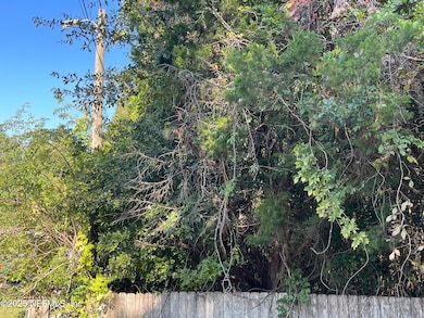 3159 Dothan Rd, Green Cove Springs, FL 32043 - photo 2