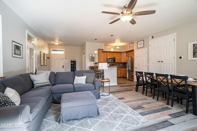 Living & Kitchen