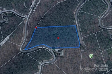 Lot 25 Panther Mountain Rd unit CVN-CVN-025, Zirconia, NC 28790 - photo 2