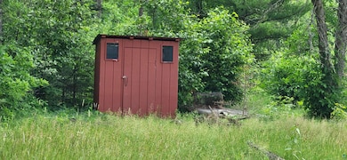 TBD 40 Crane Lake, Crane Lake, MN 55725 - photo 4