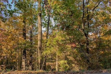 0 Leiston Ln, Bella Vista, AR 72714 - photo 4