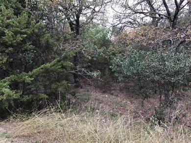 41063 Heartwood Cir, Whitney, TX 76692 - photo 3