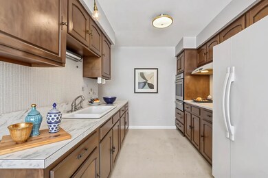 7801 Niles Center Rd unit 102, Skokie, IL 60077 - photo 7