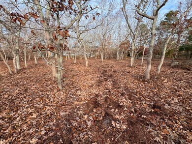 36 Boylston Dr unit 1.329, Edgartown, MA 02539 - photo 6