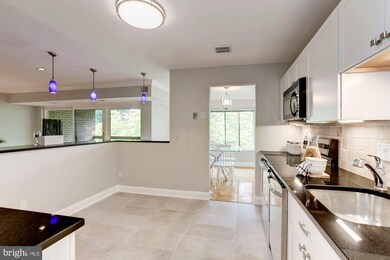 11301 Commonwealth Dr unit 302, Rockville, MD 20852 - photo 3