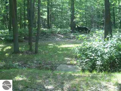 1421 N Huron Rd, Tawas City, MI 48763 - photo 5