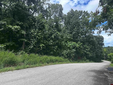 Lts 35-37 River Ranch Rd, Mountain Home, AR 72653 - photo 2