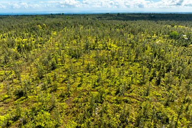 0 Waimaka O Pele Rd, Mountain View, HI 96771 - photo 6