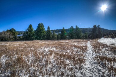 Lot 19A-1 Ousel Falls, Big Sky, MT 59716 - photo 2