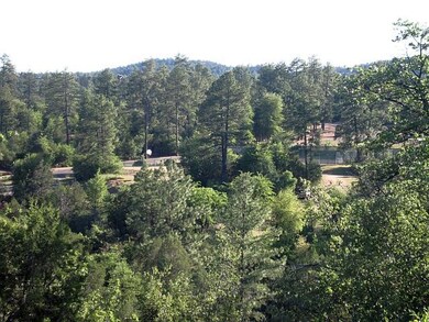 Photo 06