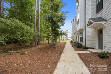 14028 Felix Ln, Charlotte, NC 28277 - photo 4
