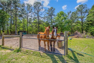 2815 N McFarland Blue Rd, Raeford, NC 28376 - photo 2