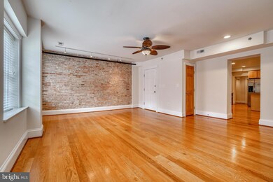 509 Cathedral St unit D, Baltimore, MD 21201 - photo 5