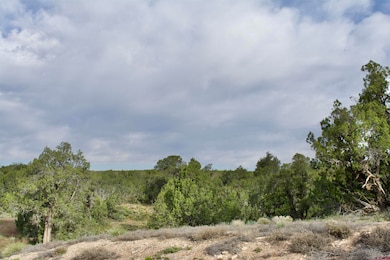 Lot 8 Road K 3, Cortez, CO 81321 - photo 5