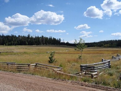 Meadow Lot with 2 Trees