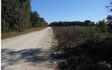 18 AC 49th Rd, Obrien, FL 32071 - photo 3