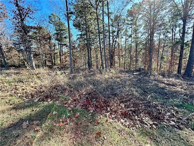 Lot 35 Hawnby Ln, Bella Vista, AR 72715 - photo 5
