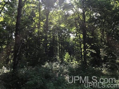 TBD Rock River Rd, Deerton, MI 49822 - photo 6