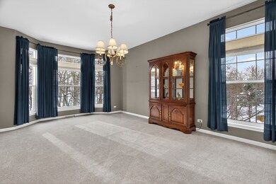 26305 W Ravine Woods Dr, Channahon, IL 60410 - photo 7