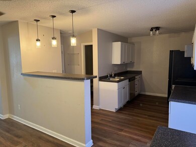 Kitchen with kitchen peninsula, dishwasher, dark h