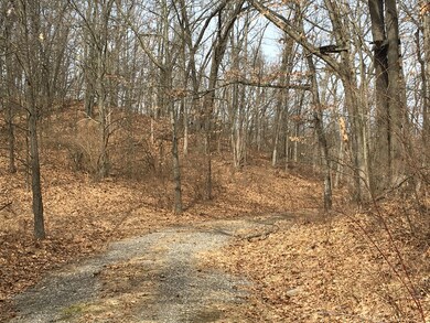 0 West Riverside Dr pic2