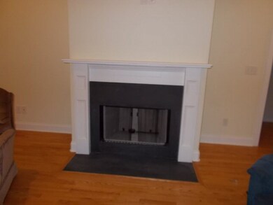 Liv. Fireplace