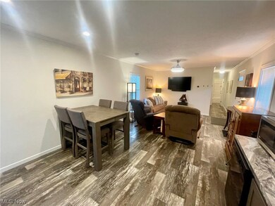 7029 Woodard Rd, Andover, OH 44003 - photo 6