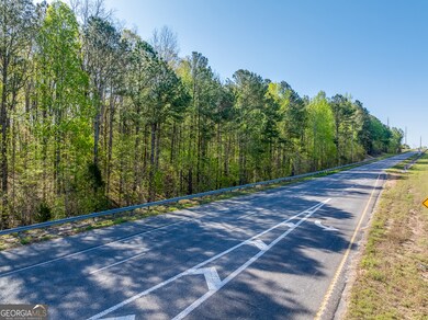 0 Georgia 400 N unit 10510411, Dawsonville, GA 30534 - photo 6