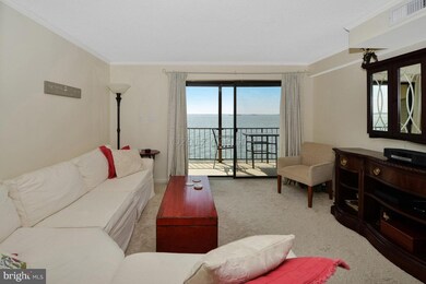 11615 Shipwreck Rd unit 4, Ocean City, MD 21842 - photo 6