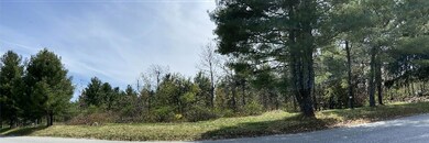 Lot 1D Harry Howes Rd, Sanford, ME 04073 - photo 4