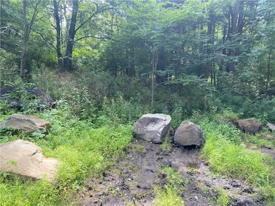 925 Haytown Rd, Grampian, PA 16838 - photo 5