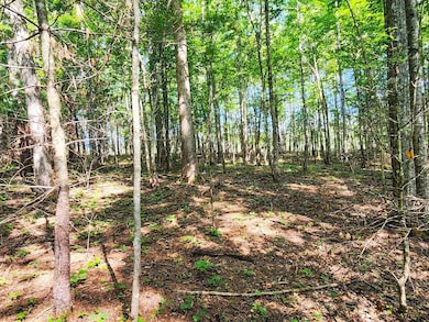 0 Helenwood Loop Rd unit 24289292, Helenwood, TN 37755 - photo 6