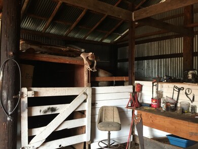 16036 Bald Hill Rd SE, Yelm, WA 98597 - photo 6