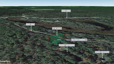 0 County Road 2909 unit Cleveland TX 77327, Cleveland, TX 77328 - photo 2