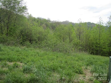 000 Signature Row Lot #17 Blvd unit 17, Waynesville, NC 28785 - photo 4