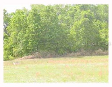 9823 Belmont Park Dr, Dade City, FL 33525 - photo 6