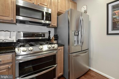 2931 Deer Hollow Way unit 306, Fairfax, VA 22031 - photo 7