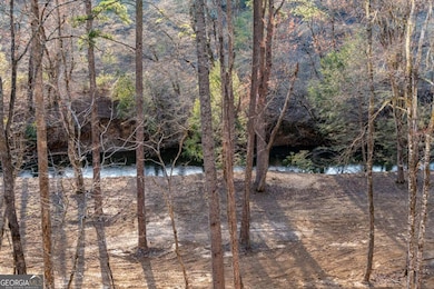 287 Cool Creek Trail, Blue Ridge, GA 30513 - photo 6