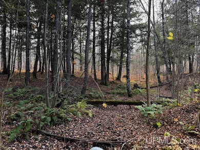 TBD OFF Skanee Rd, Skanee, MI 49962 - photo 3