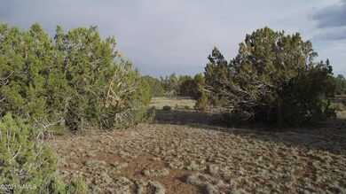 DSCF5733