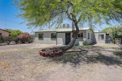 Front Yard Shade Tree