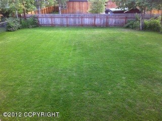 back yard