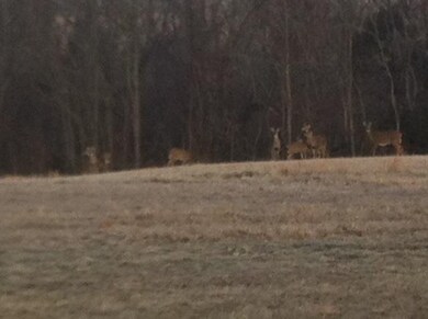 759 Mallard Cove, Harrodsburg, KY 40330 - photo 6