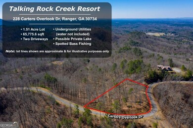 278 Carters Overlook Dr, Ranger, GA 30734 - photo 4