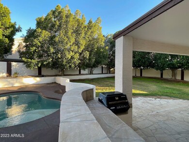 Backyard 12