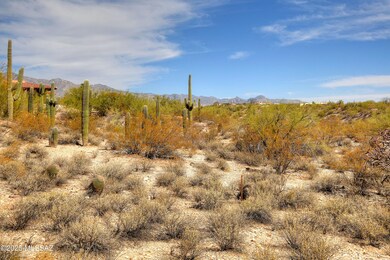 0000 N Camino Kino unit 253, Catalina Foothills, AZ 85718 - photo 7