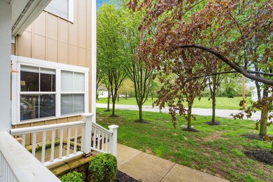 View from Porch