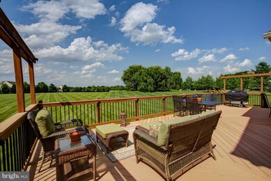 16762 Chestnut Overlook Dr, Purcellville, VA 20132 - photo 2